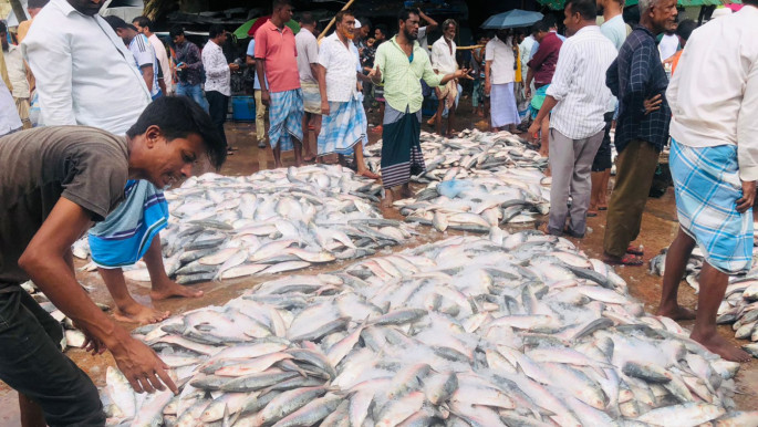 টেকনাফে ধরা পড়ল ১ লাখ ২১ হাজার টাকার ইলিশ