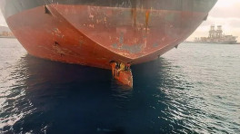 ছবি: ইএফই ক্যানারিস/টুইটার 