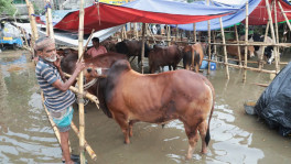 ছবি: টিবিএস 