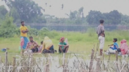 ছবি: ইউএনবি