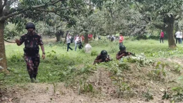 ছবি: ইউএনবি