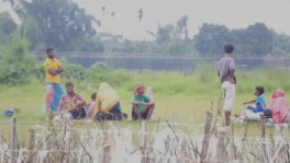 ছবি: ইউএনবি