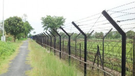 ফাইল ছবি: বাসস

