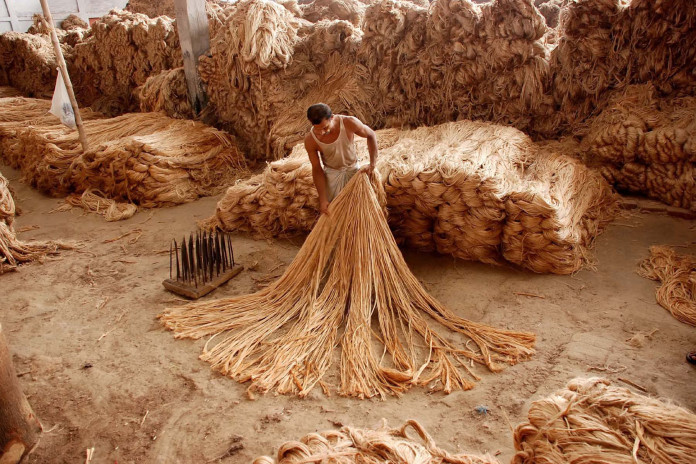 Neighbour's envy: India's jute economy is faltering while Bangladesh's is  flourishing; here's why