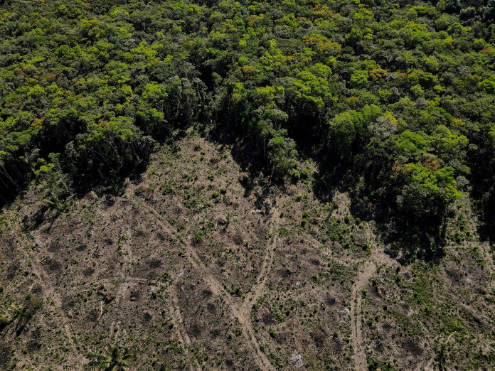 How close is the  tipping point? Forest loss in the east changes the  equation