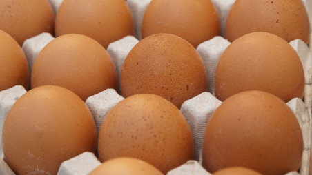 Two firms fined Tk3.5cr for egg price manipulation