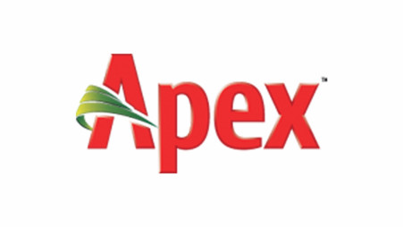 apex brand shoes
