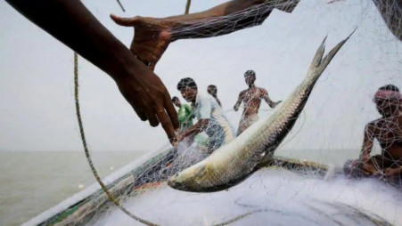 Two-month fishing ban in 5 hilsa sanctuaries begins today