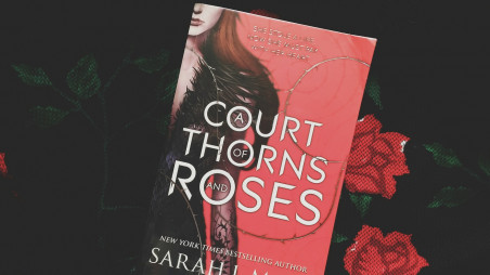 ‘A Court Of Thorns And Roses’ series based on fantasy books in the ...