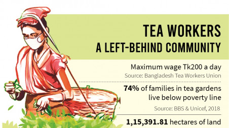 Improve workers’ life to revive tea export: Experts
