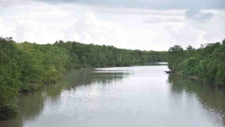 Sundarban. PHOTO:UNB 