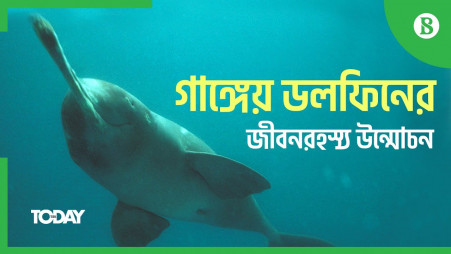  Bangladesh reveals genome sequence of freshwater dolphin