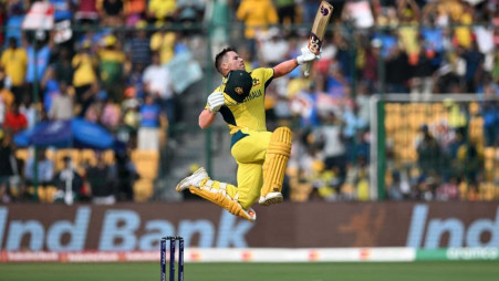 A David Warner innings to remember