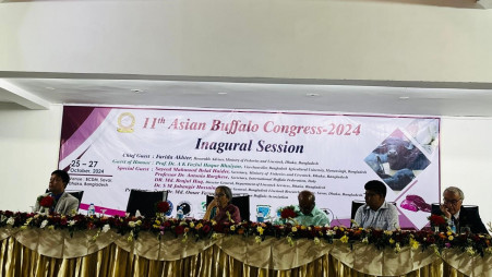 The three-day 11th Asian Buffalo Congress will be held in Dhaka. Photo: TBS