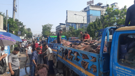 Around 20 trading points were operating in the capital's Science Lab area, where hides were being transported by pickup vans, autorickshaws, rickshaws and cargo vans before being piled up at temporary warehouses. Photo: Jahir Rayhan