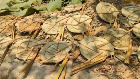 Handcrafted sugar palm-leaf fans are left to dry in the sun in Joynagar village of Boalmari upazila in Faridpur on 4 June 2026. Photo: TBS
