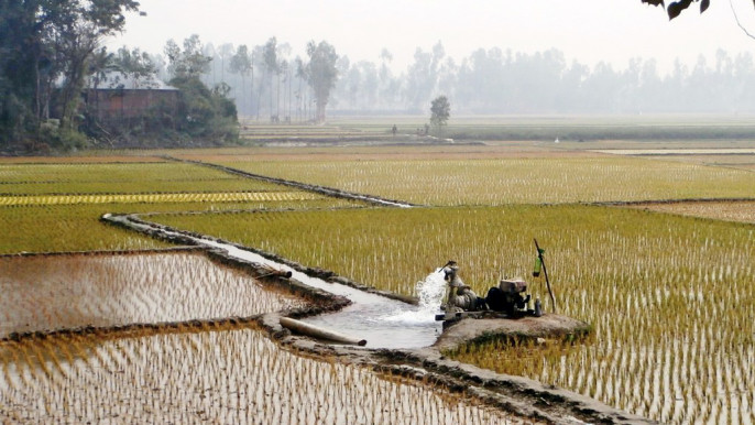 Govt mulls providing diesel subsidy to Boro farmers