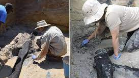 World's oldest known wooden structure found in Zambia