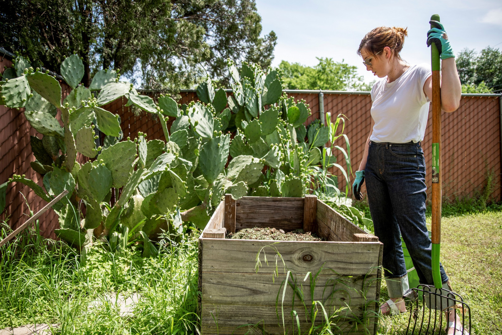 Bloom amid Covid gloom: Home gardening fills up lockdown days