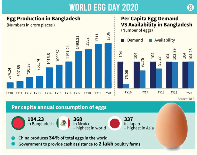 Per capita egg consumption increases to 104 The Business Standard