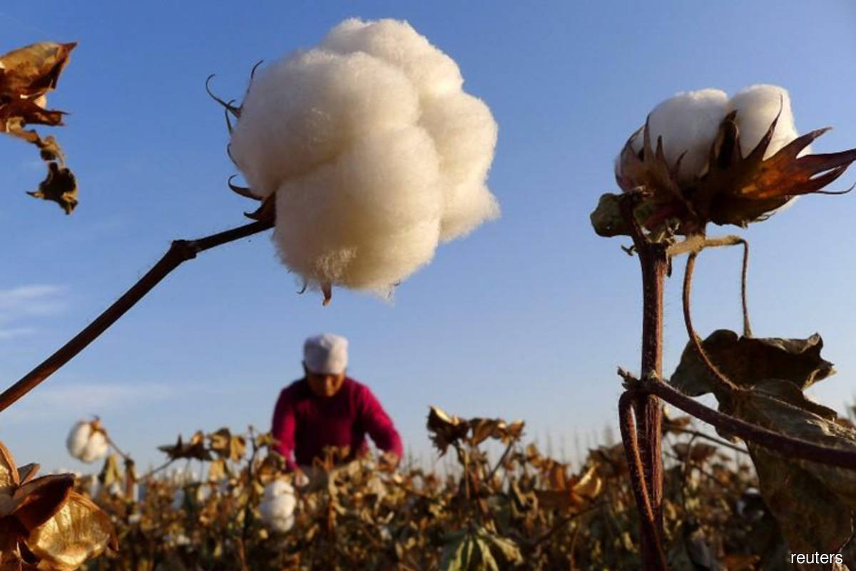 Multi-Stakeholder Project To Boost Transparency And Farmer Livelihoods In  Organic Cotton Launched