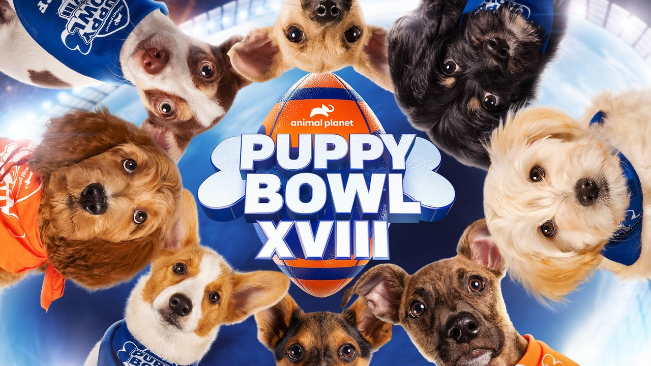 Animal Planet's Puppy Bowl To Be Simulcast On Discovery Channel, TBS, HBO  Max & Discovery+ In Wbd Synergy Move - IMDb