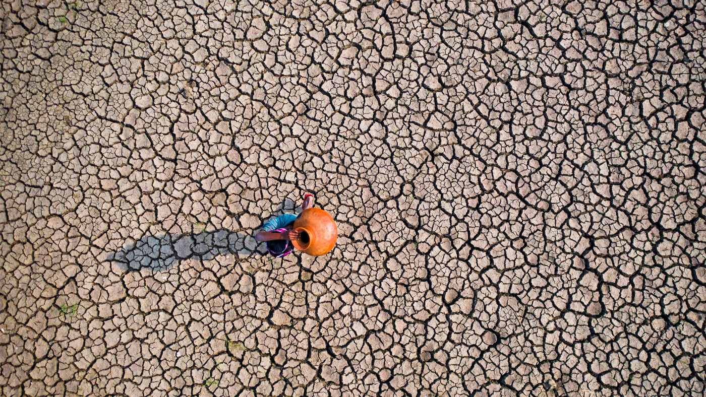 Insufficient rainfall during the monsoon in Bangladesh, caused by El Niño, has a profound impact on the production of rainfed staple crops.  Photo: Sikder Ahmed