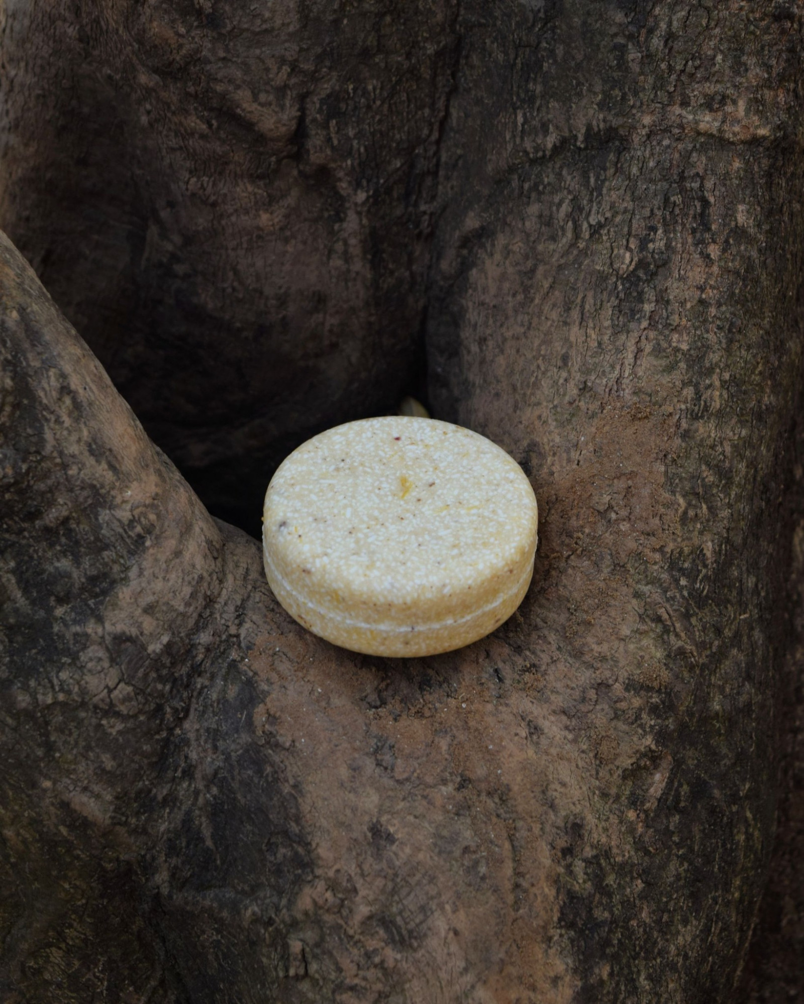 Calendula Shampoo Bar