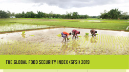 Global Food Security Index: Bangladesh lowest in South Asia
