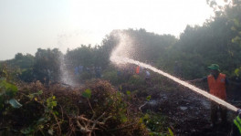 Firefighters working to put out Sundarbans fire. Photo: TBS
