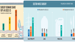 Subsidy pressure triples to Tk1.6 lakh crore as imports remain costly