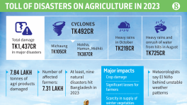 Cyclones' impacts now felt in crops market
