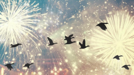 Photo illustration by Slate. Images via 8213erika, RCKeller/iStock.