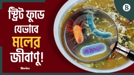 The germs of human faeces are found in street food!