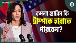 US presidential election: Why are Democrats looking for Kamala Harris instead of Biden?
