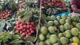Seasonal fruits at a fruit stall. File Photo: BSS