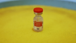 A typhoid vaccine vial is pictured at Viqarunnisa Noon School and College on 12 October 2025. Photo: Rajib Dhar/TBS/File 