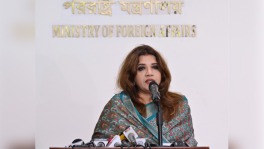 State Minister for Foreign Affairs Shama Obaed Islam. Photo: BSS