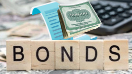 High-level panel formed to assess feasibility of issuing Panda, other foreign currency sovereign bonds