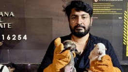In many parts of Bangladesh, people now increasingly contact rescuers when stray animals need help. Photo: Courtesy