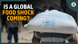 Why does the World Food Programme fear a major hunger crisis in 2026?