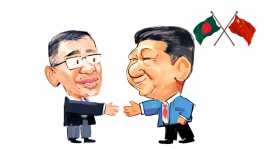 TBS Illustration