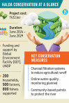 Infographics: TBS