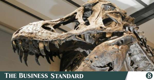 T-Rex Had Air Conditioner Built Into Its Head | The Business Standard