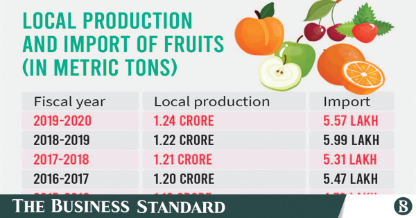 BBC Super Fresh Fruits Export & Import of Fresh Fruits and Vegetables