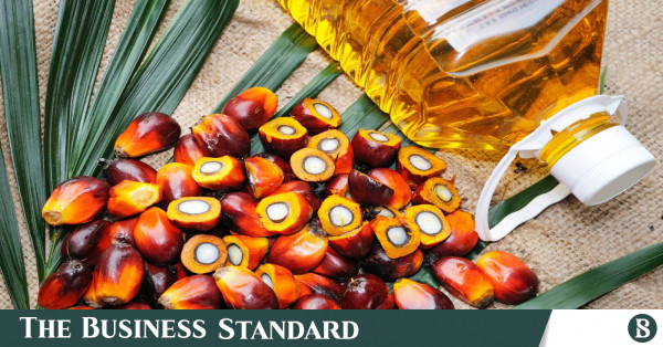Palm oil: Ideal for deep frying and reusing | The Business Standard