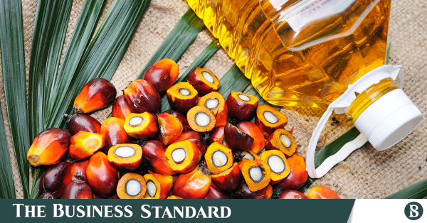 Palm oil price still high despite significant global drop | The ...
