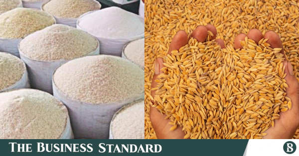 Govt To Procure Rice At Tk42 Kg Paddy Tk28 Kg The Business Standard   Rice Paddy 