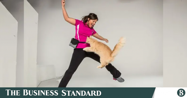 Jump-roping cat breaks Guinness World Record