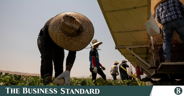 Midwest farmers are on track for a record-high harvest, despite a year of  extreme weather